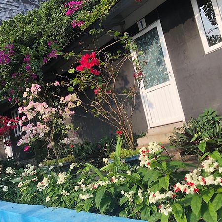 Cat Ba Countryside Homestay Dong Khe Sau Exteriör bild