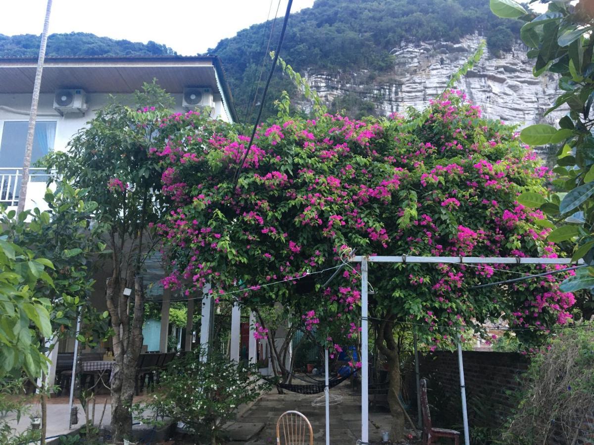 Cat Ba Countryside Homestay Dong Khe Sau Exteriör bild