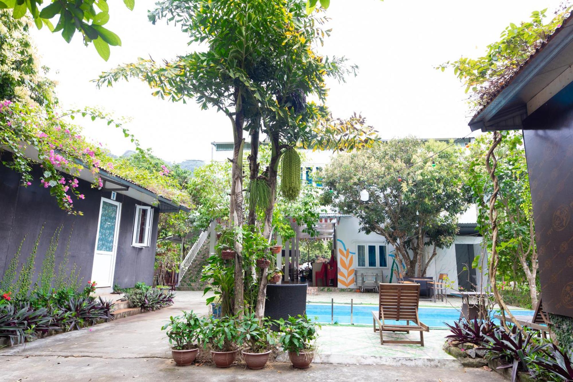 Cat Ba Countryside Homestay Dong Khe Sau Exteriör bild