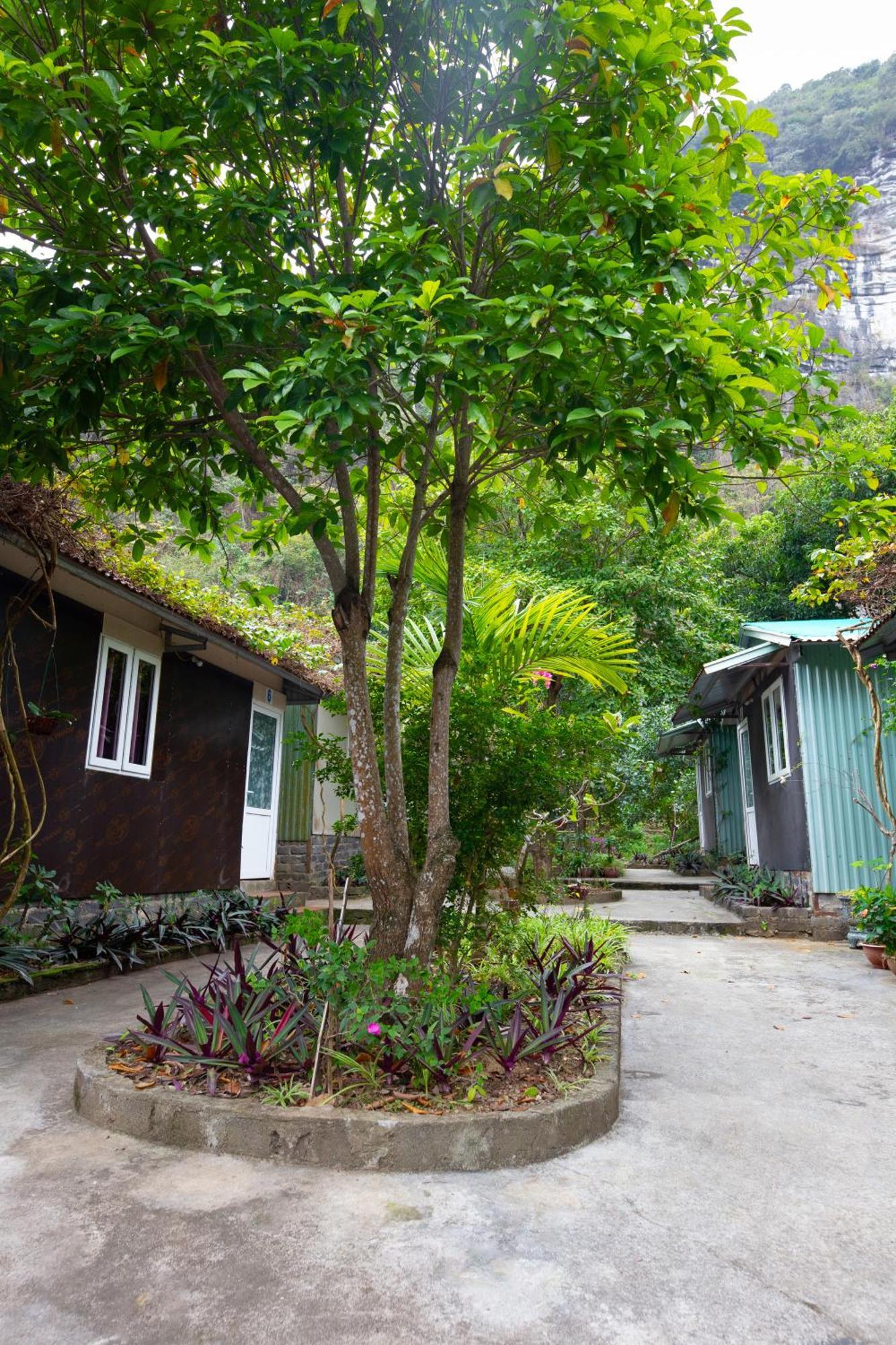 Cat Ba Countryside Homestay Dong Khe Sau Exteriör bild