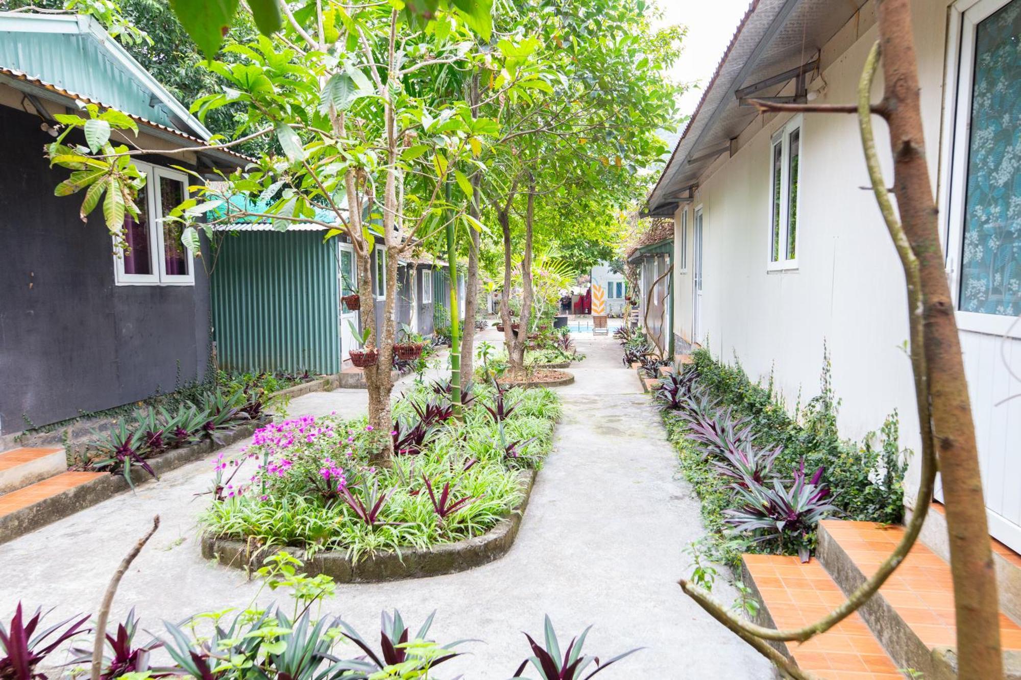 Cat Ba Countryside Homestay Dong Khe Sau Exteriör bild