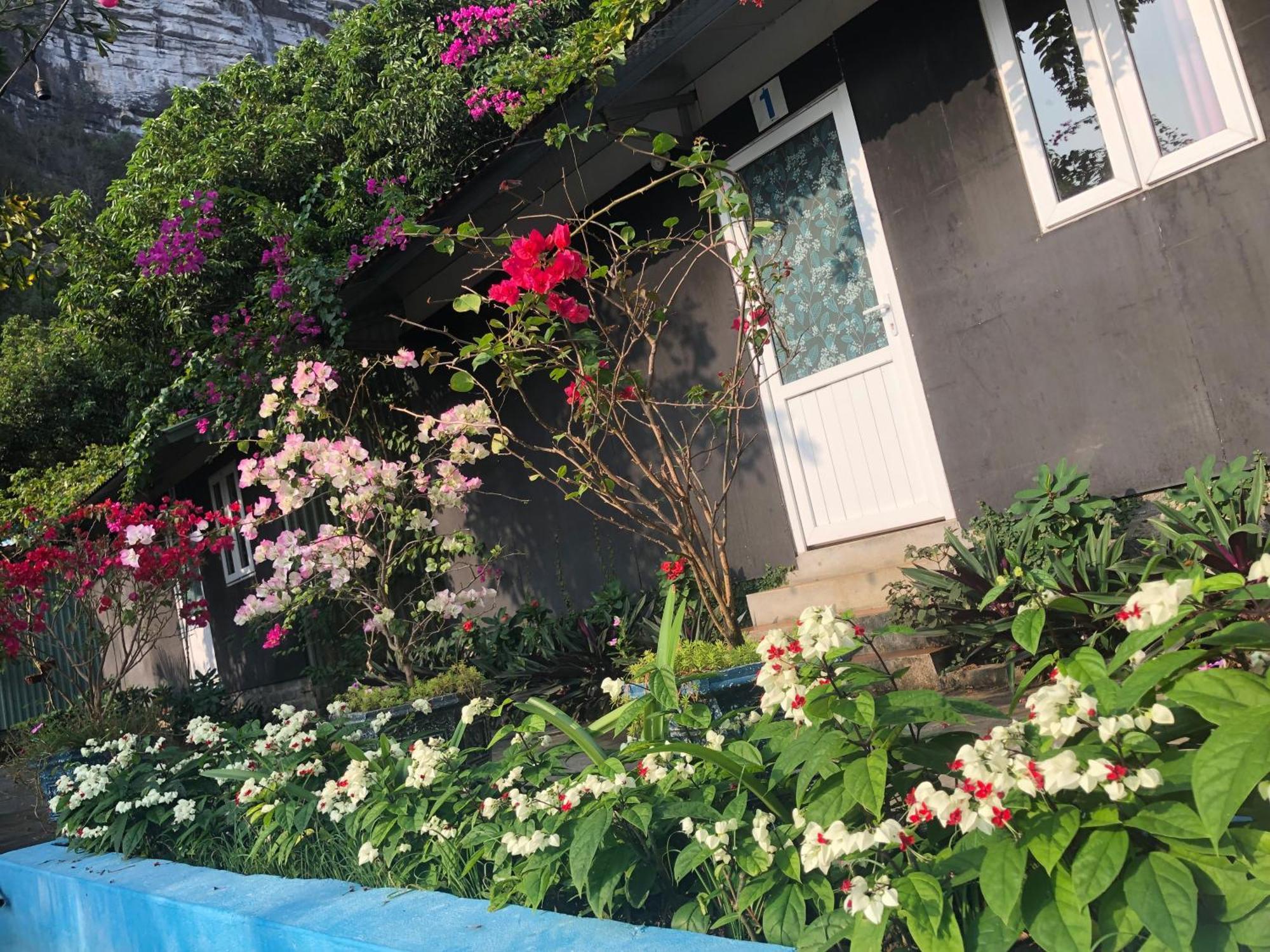 Cat Ba Countryside Homestay Dong Khe Sau Exteriör bild